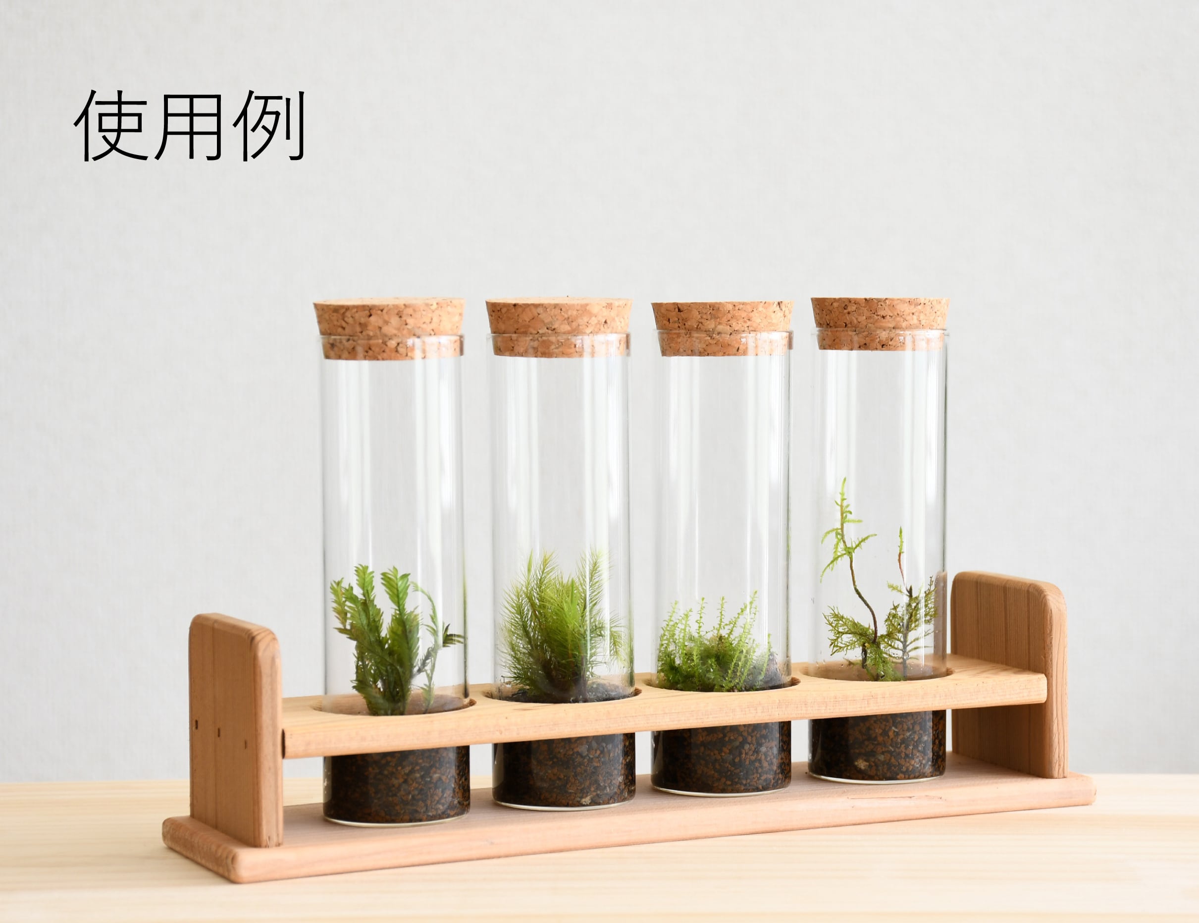 木製試験管立て 4本用 | 苔テラリウム専門ショップ道草