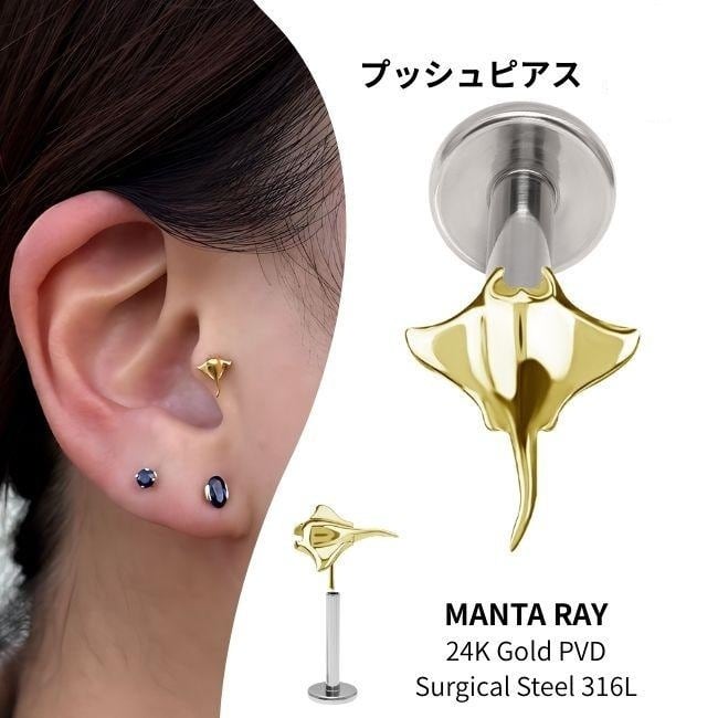 14G ANATOMETAL 限定商品/Limited Item 6mm ベゼルセットジェムエンド