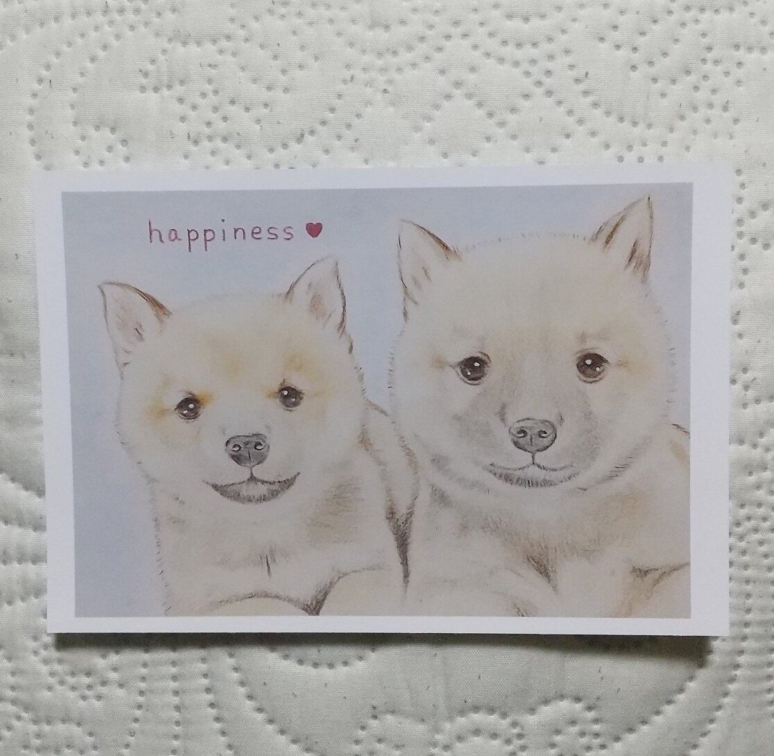 犬の絵のポストカード（メッセージ入り）5枚セット」 | cocoloya