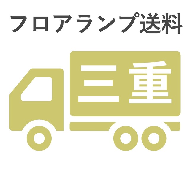 BL-F481,484,806送料 三重