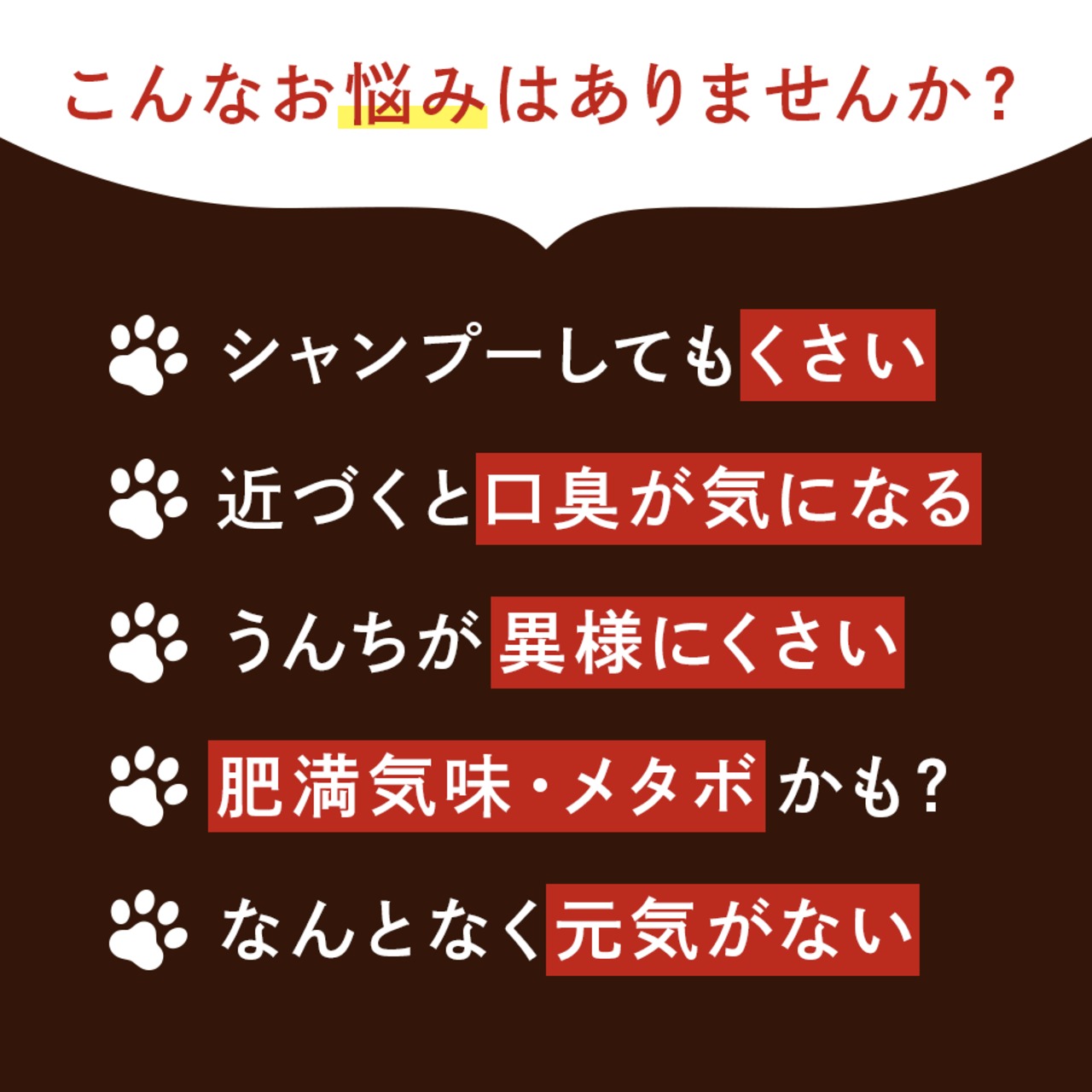 コピー：【送料無料】カテキンキューブ 4個セット｜ 犬用おやつ/ドッグフードのペットフードショップ ホウワ