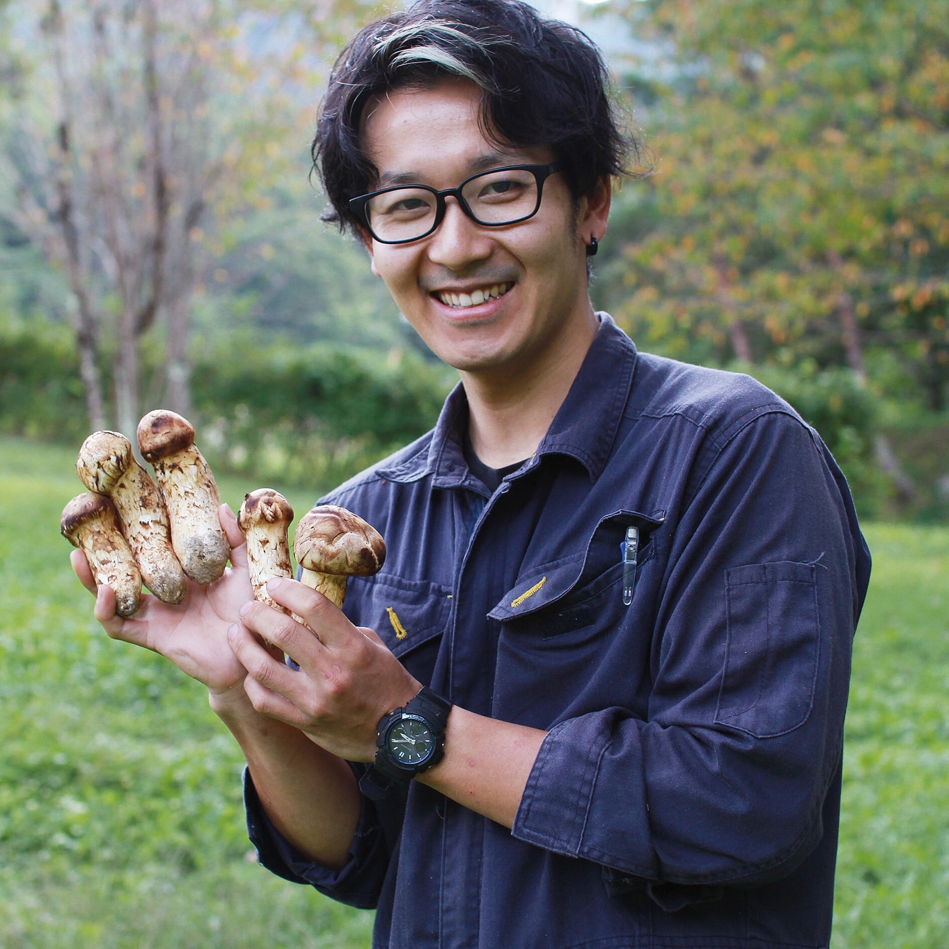 シーズン限定品 【上質ひらき松茸セット】 約300g（約4本） | 信州松茸