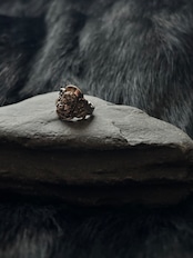 Silver ring profile-3-1