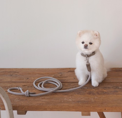 [即納] [STROLL] Rope collar-Ash grey 首輪