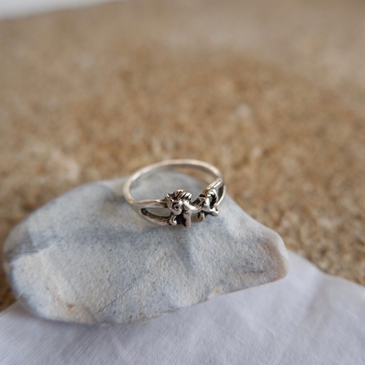 勇敢で優しい馬のリング (Zon-9) | past things