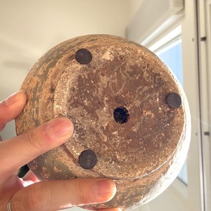 サンスベリア・ハニー