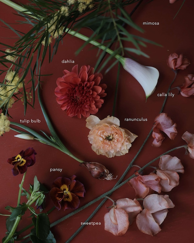 2週間ごとに届く定期便 - Regular type.