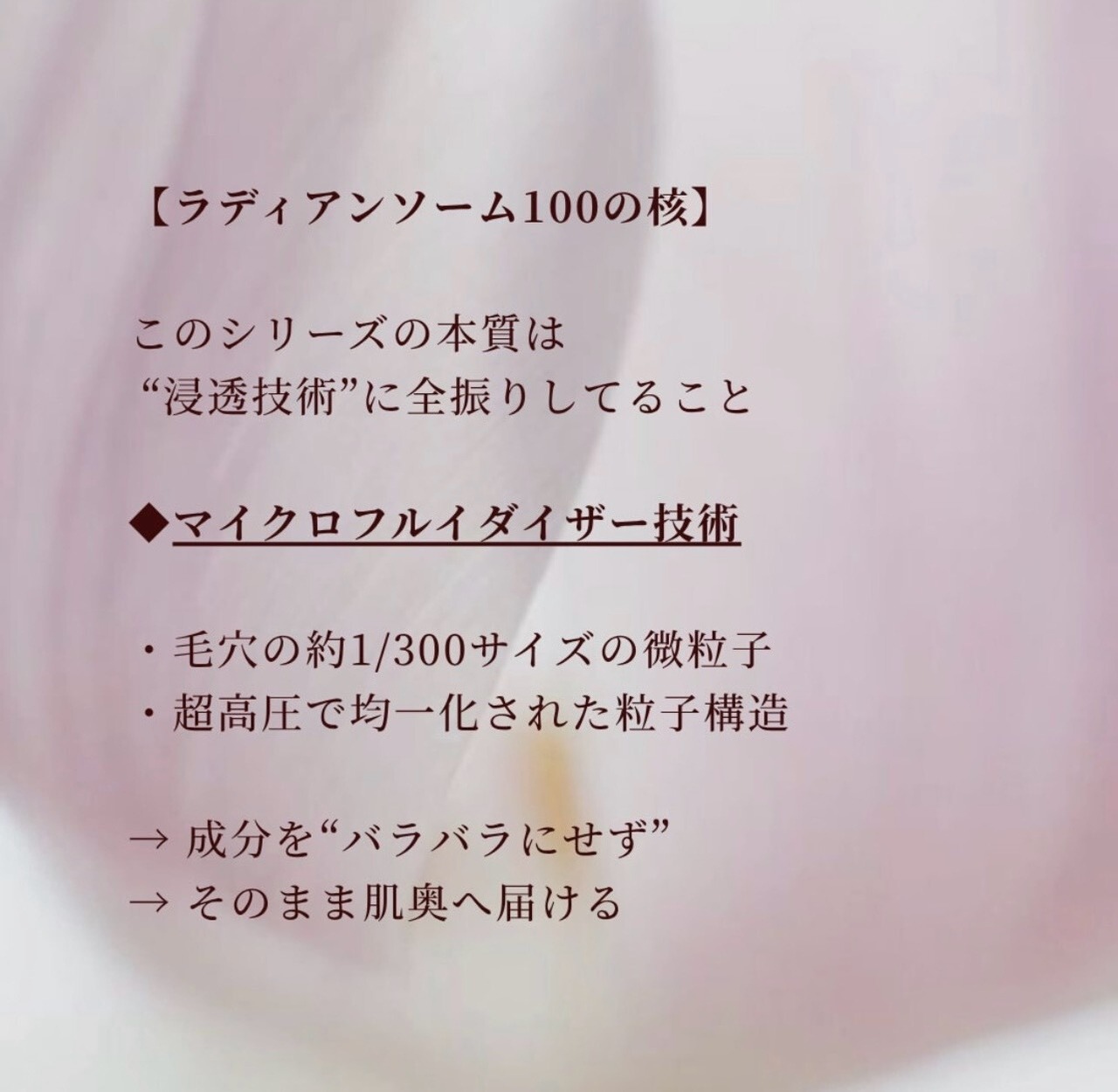 【美白シリーズ6点セット】韓国No.1コスメ