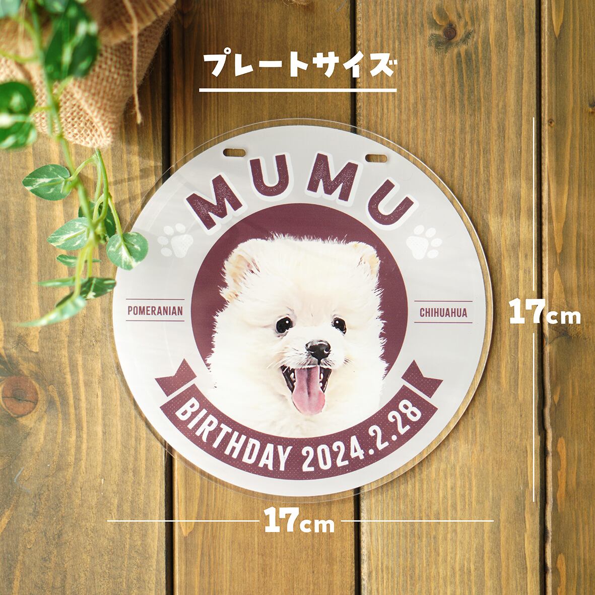 カート ネームプレート〈まんまるstyle〉 | ひまわんギャラリー