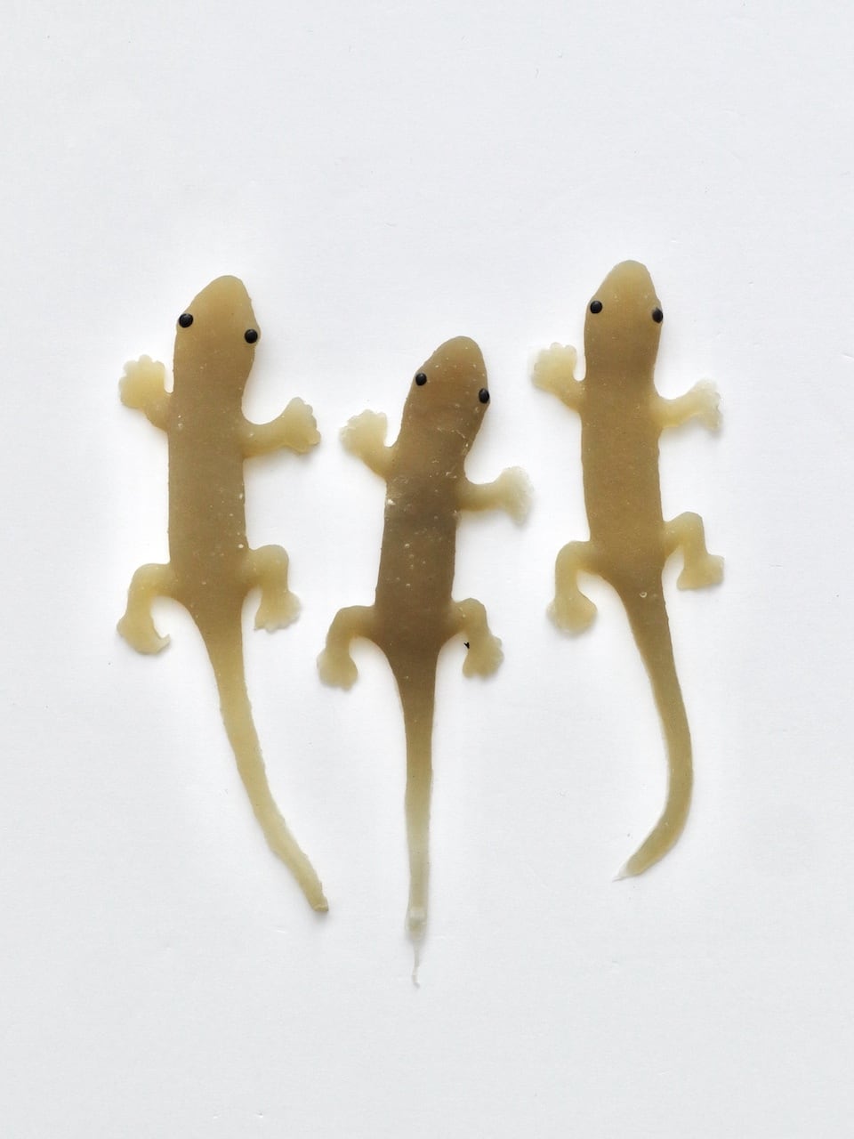 ヤモリのおもちゃ｜Rubber Gecko Toy | Sensitivity and Boldness