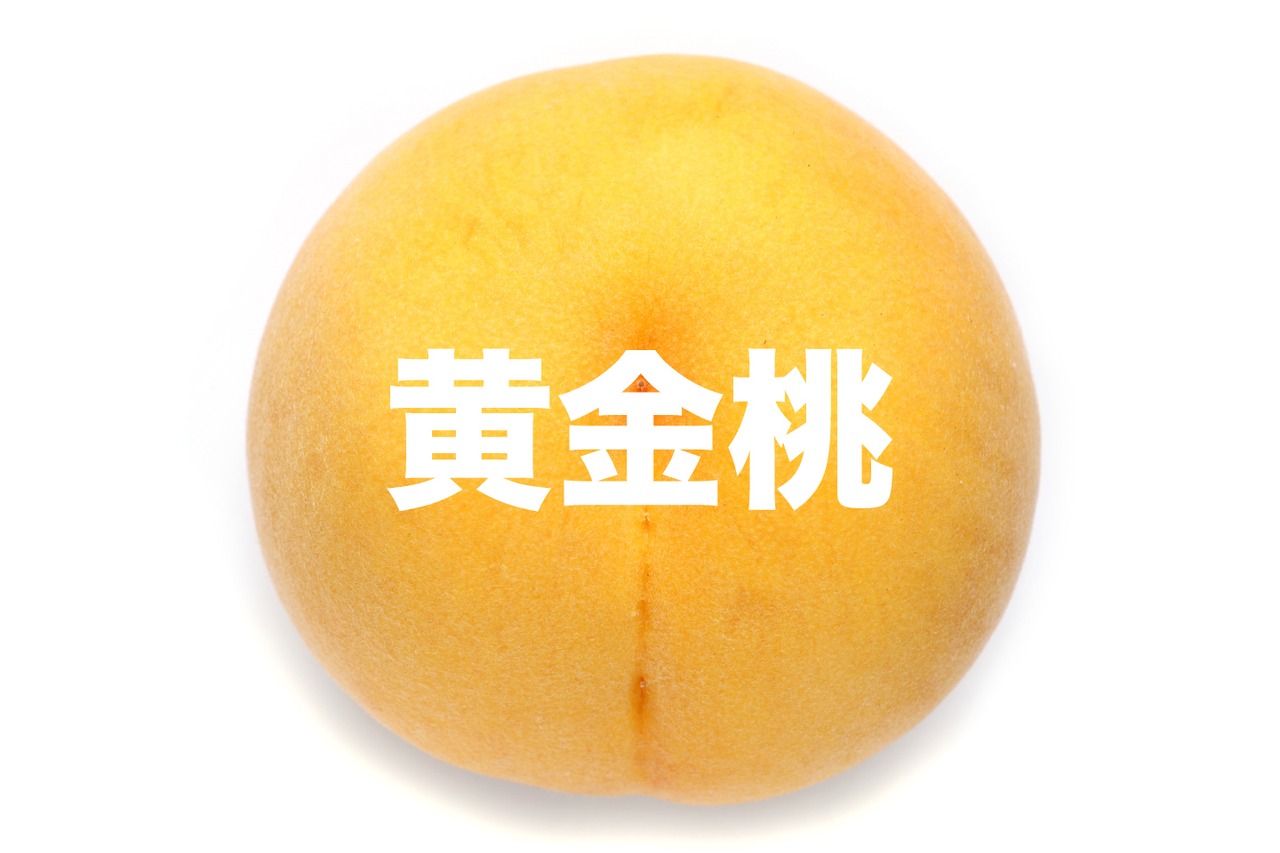 【希少品種】黄金桃【約2kg(5〜7玉)8月中旬〜9月上旬】