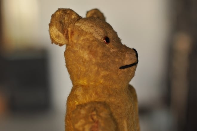 Teddy bear1