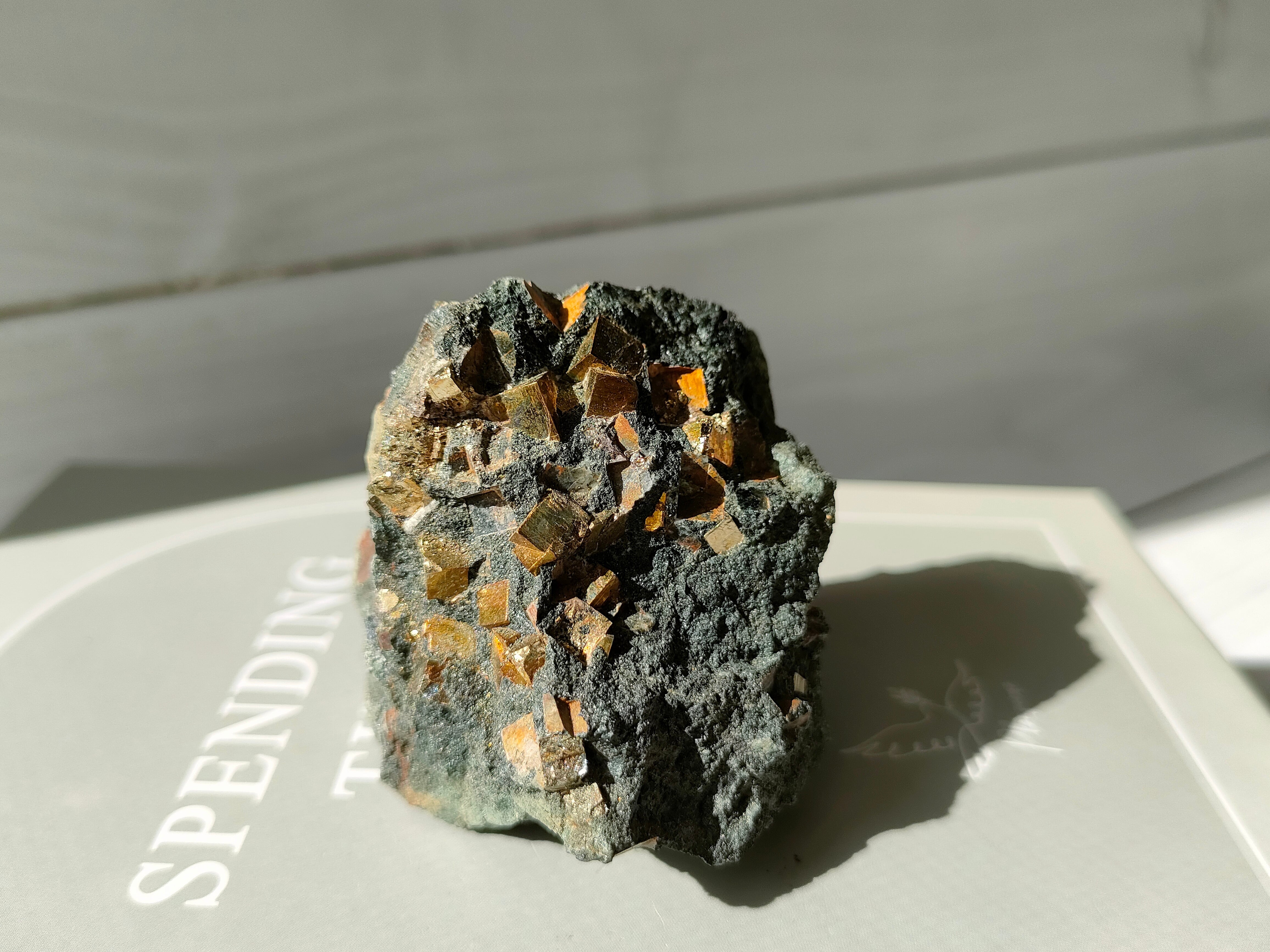 パイライト(新潟県・新発田産)