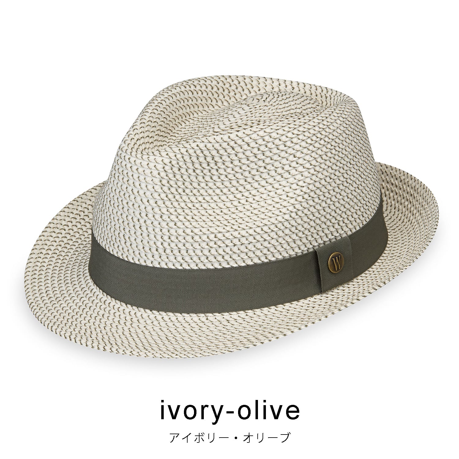 美品 正規品 リーシュセットBeach Access ソフトボード サーフボード 6