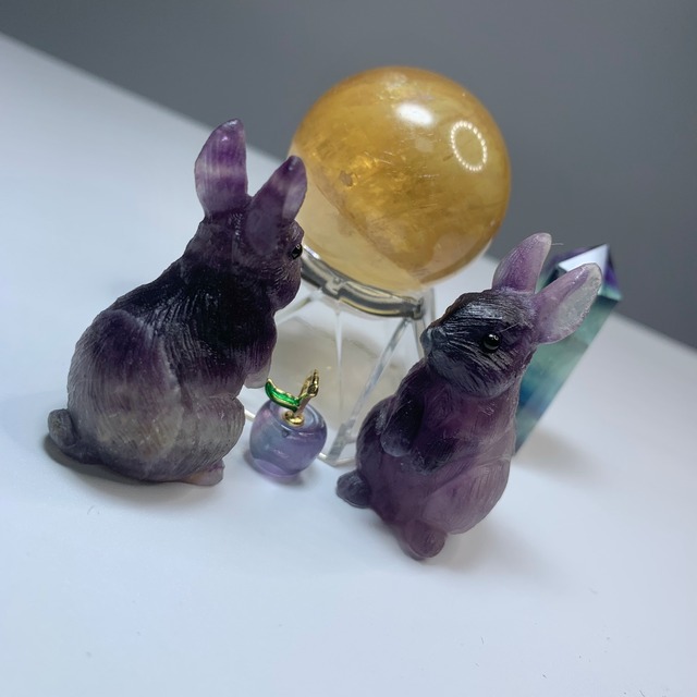 お月様を眺めるフローライトうさぎちゃん