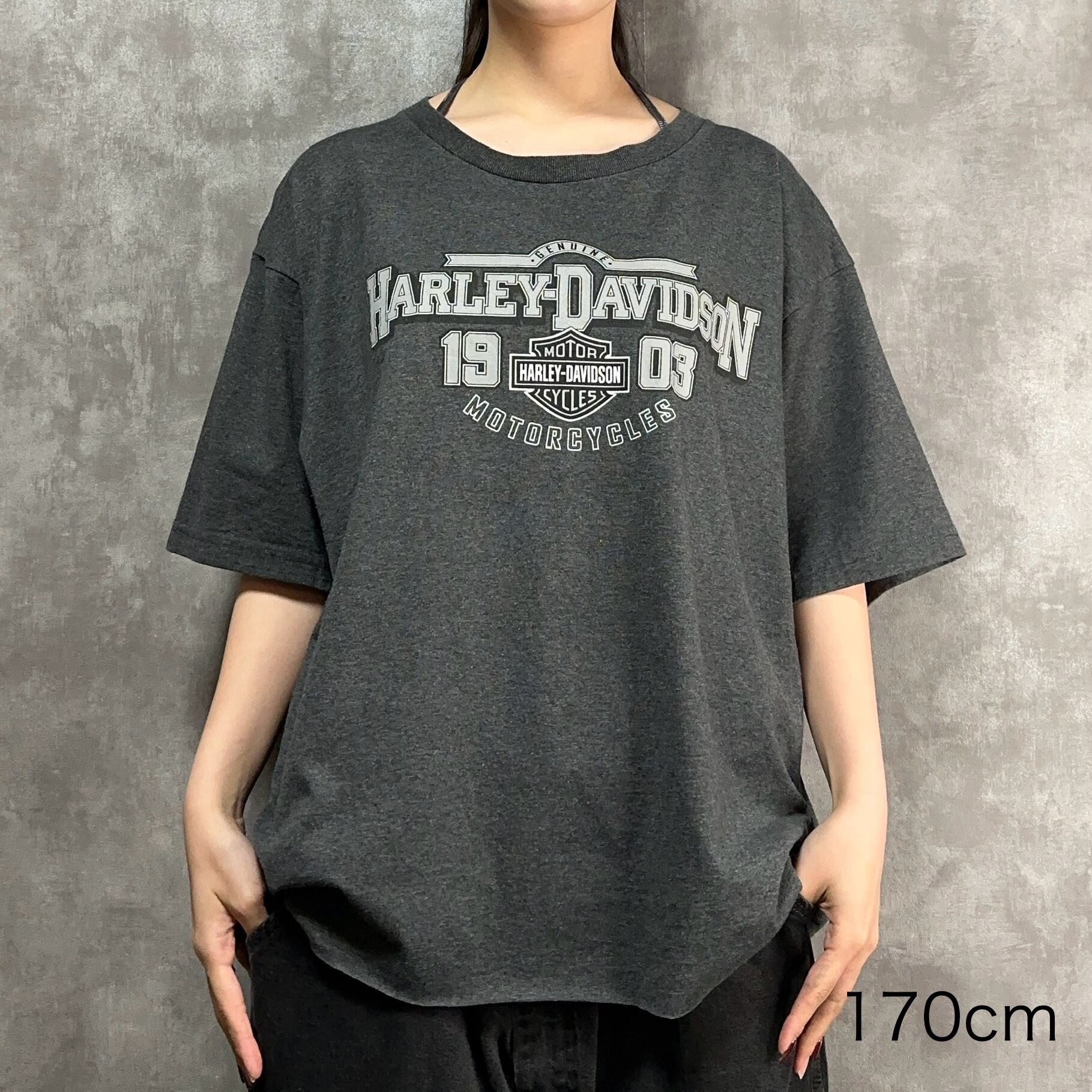 ショート丈リメイク】HARLEY DAVIDSON 半袖Tシャツ L プリント ショート丈リメイク】HARLEY DAVIDSON 半袖Tシャツ L プリント