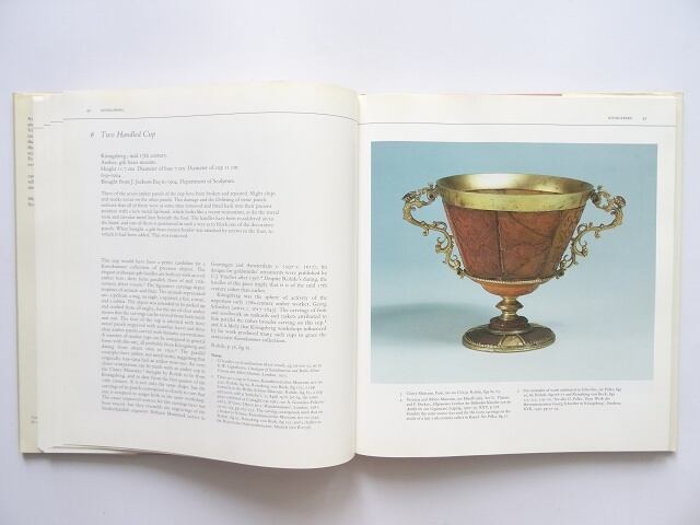 洋書◆ヨーロッパの琥珀写真集 本 工芸 ヴィクトリア＆アルバート博物館所蔵 洋書◇ヨーロッパの琥珀写真集 本 工芸 ヴィクトリア＆アルバート