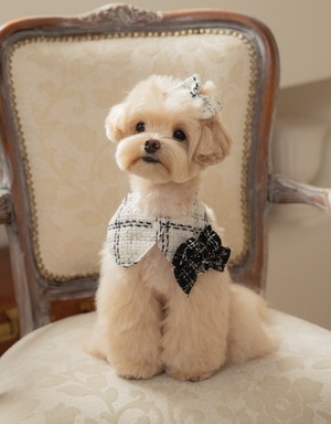 予約【pecoramou select】Tweed check cape（White）