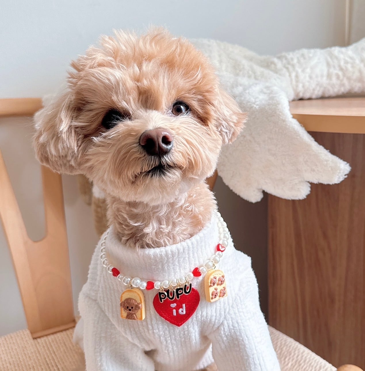 ワンチャンお名前ネックレス