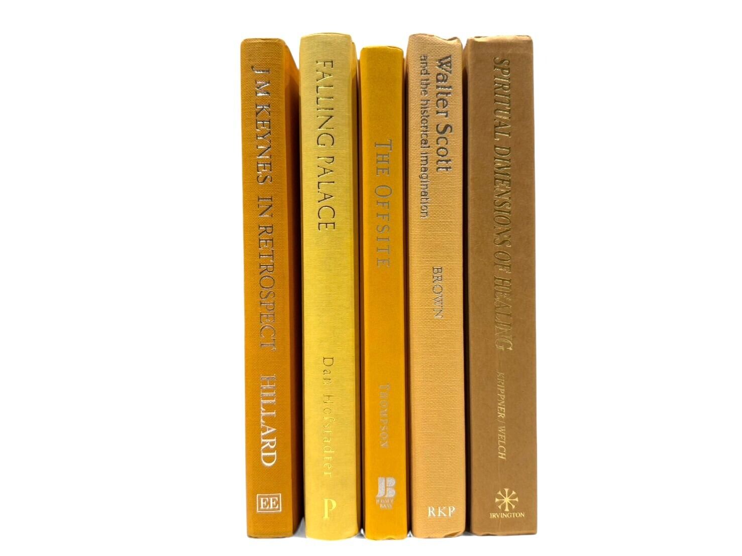 【DC1373】'mango' -5set- / display books