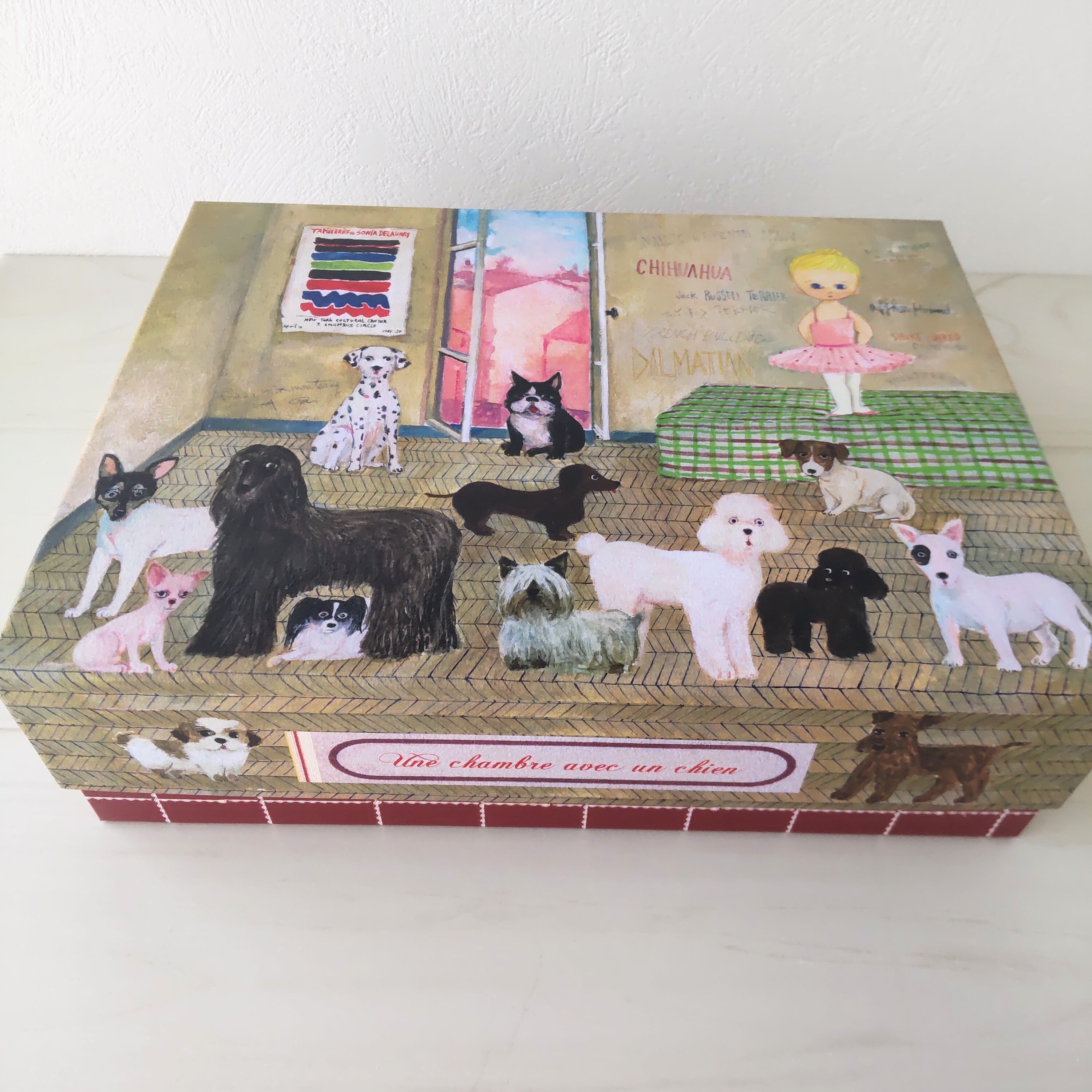 marini＊monteany マリーニモンティーニ 犬のいる部屋 BOX 箱 お