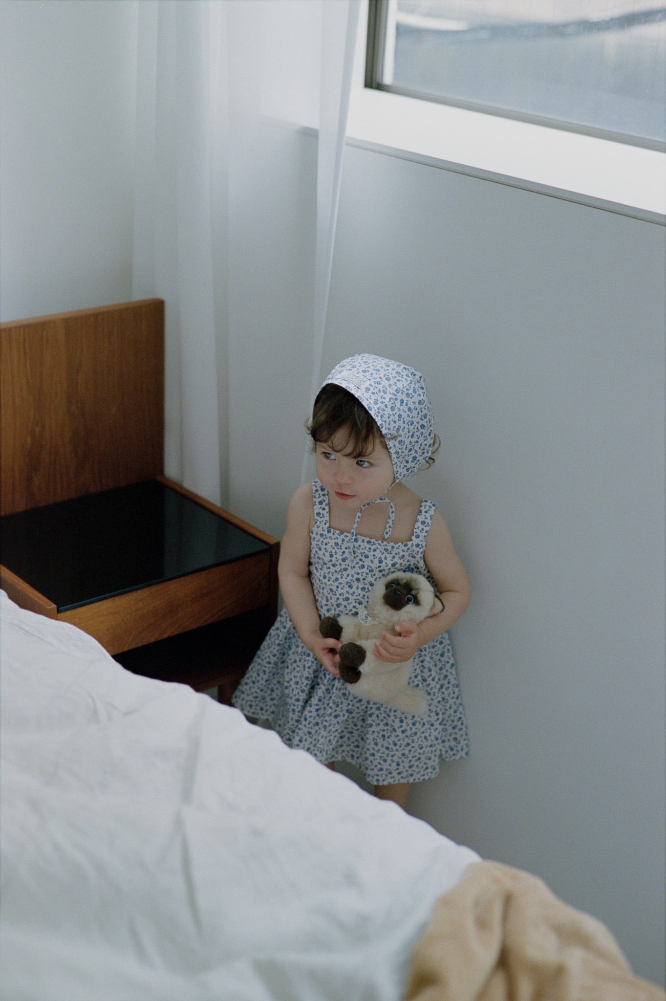 Dress (Flower) | House on the Hill