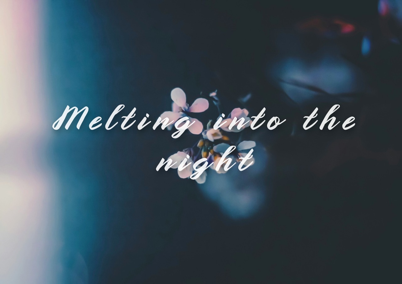【商用利用ライセンス】 Melting into the night　クレカ