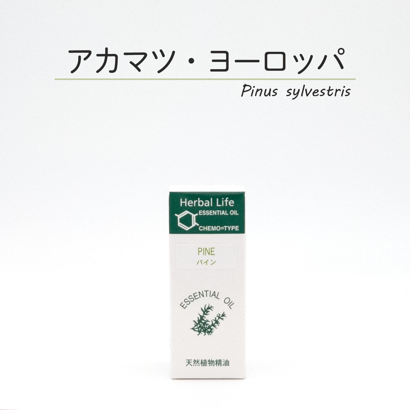 生活の木 アカマツヨーロッパ パインニードル パインスコッチ ホームケアアロマ専門店 アロマリ