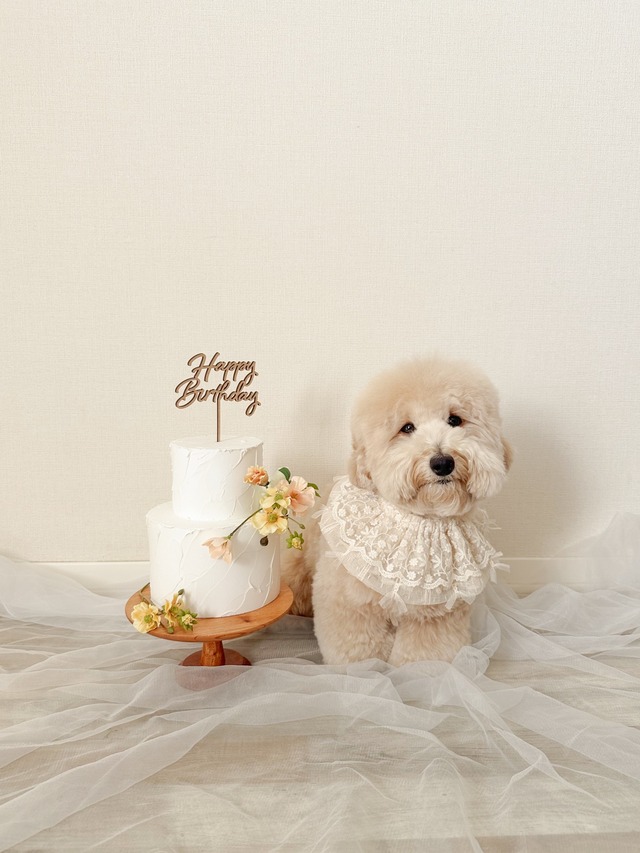 〈レンタル〉YELLOW