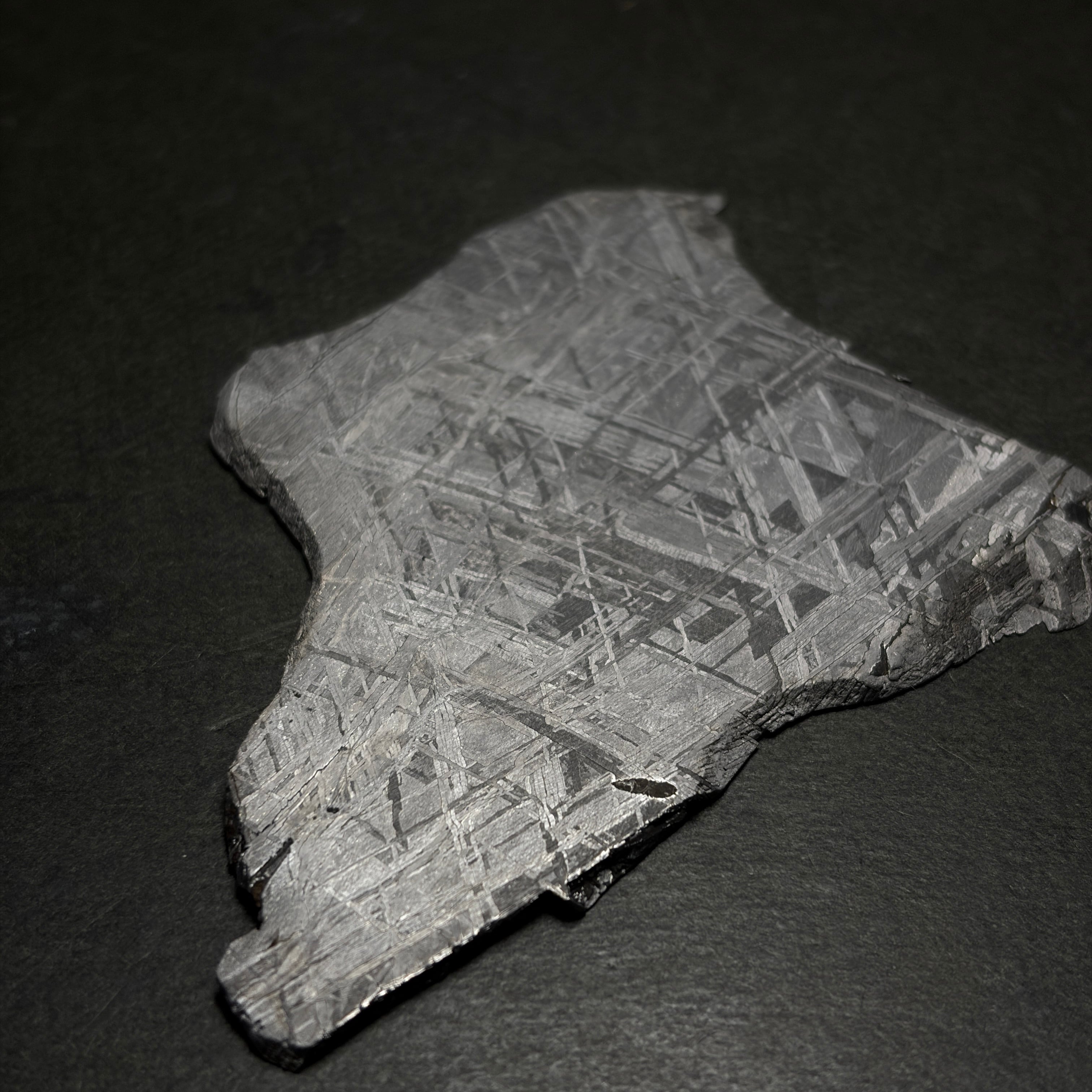 隕石絵画】ギベオン隕石 Gibeon Meteorite 26050602 | 【隕石屋