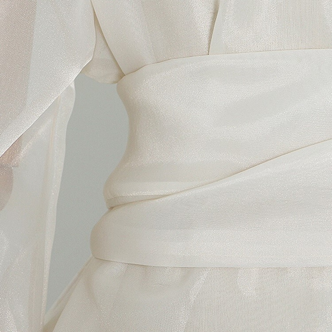 Lantern Sleeve Sheer Tops / ランタンスリーブ シアー トップス