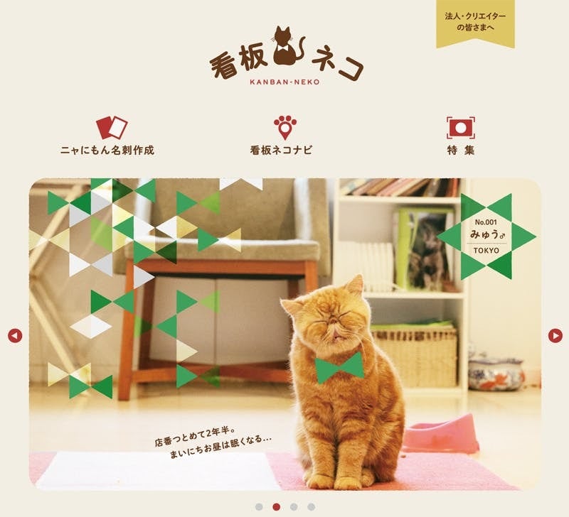 看板ネコ紹介サイトの掲載枠限定】看板ネコちゃんページ修正費