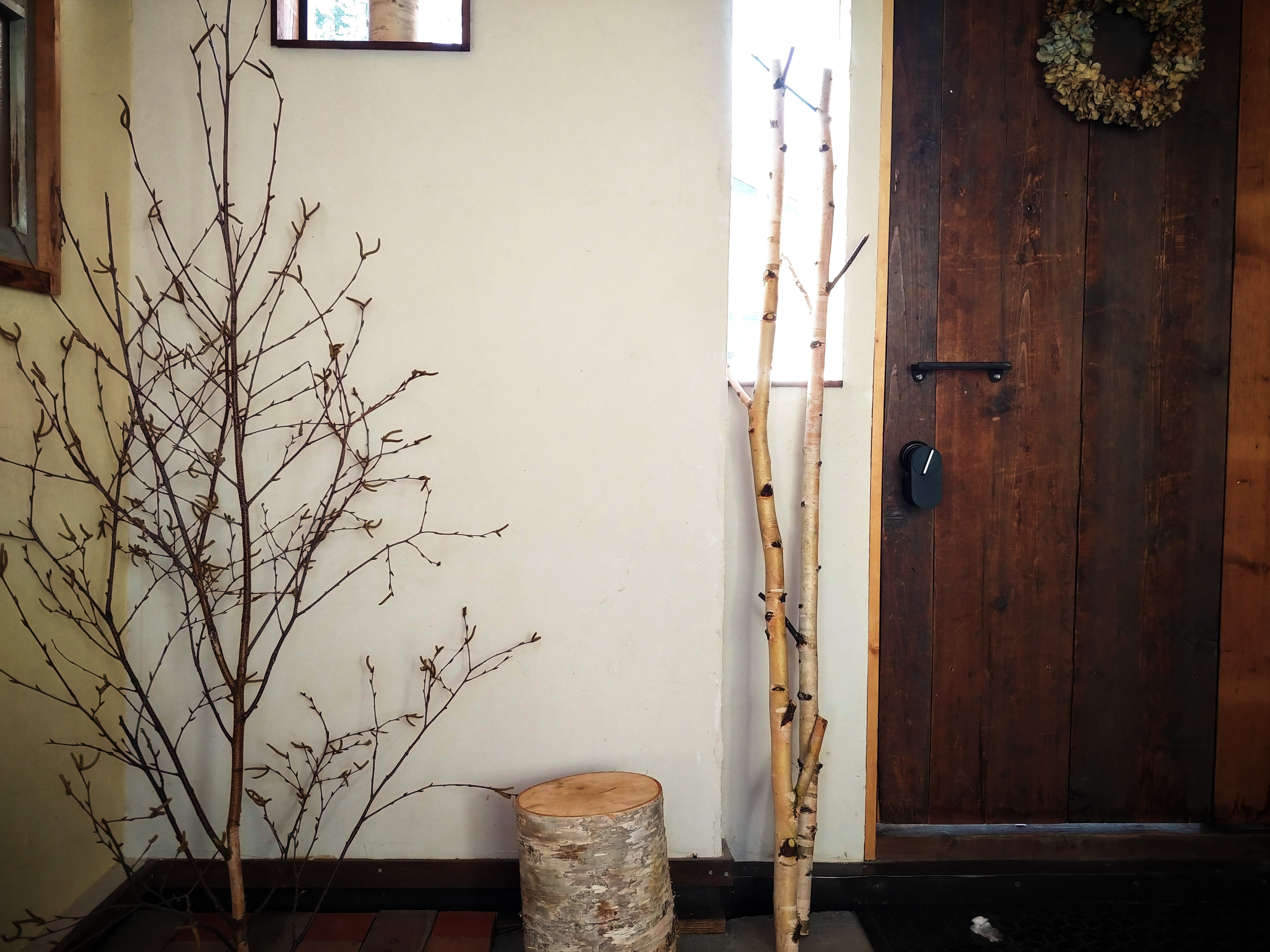 白樺枝1.5m 太 太さ6cm | Shizenka｜白樺樹皮と枝・丸太の通販