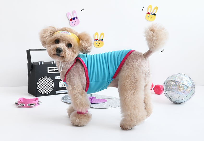aerobic cool top set S ~ XL 2color  /  犬服 夏 新作 冷感 トップス タンクトップ 可愛い 犬の服 ドッグウェア 暑さ対策 ワンコ服 小型犬 中型犬 映える