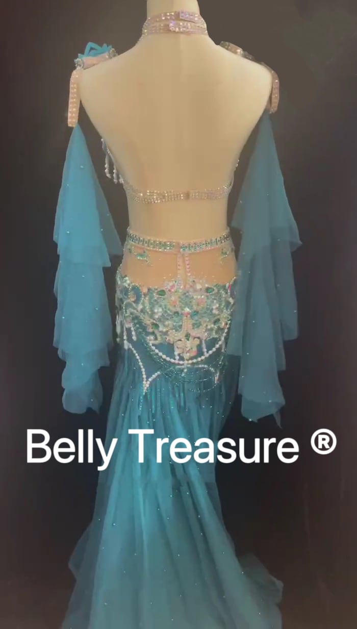 ベリーダンス オーダーメイド衣装 LY 1803 202304 | Belly