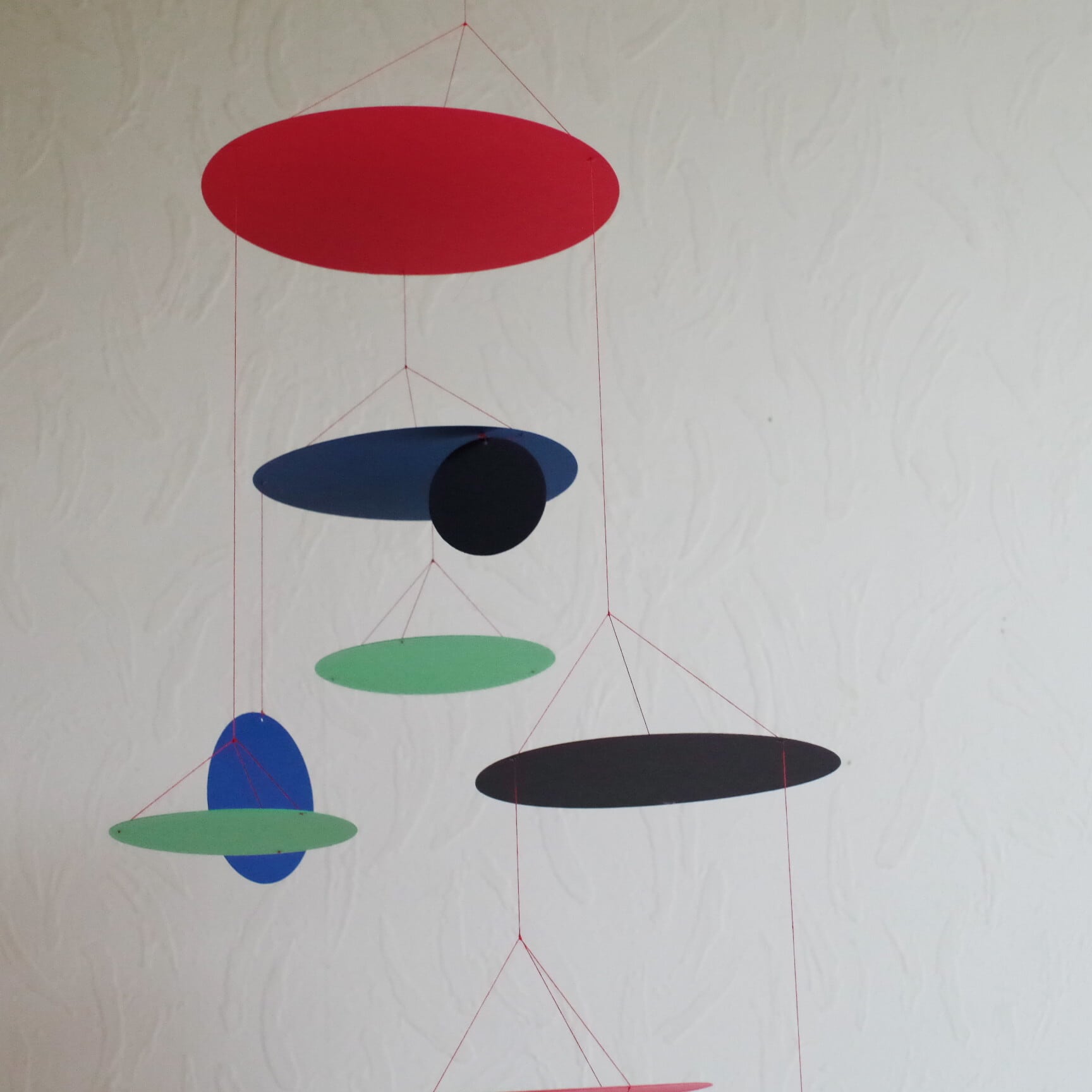 リビングリー カラーサークル | 木のおもちゃ専門店 おもちゃ箱