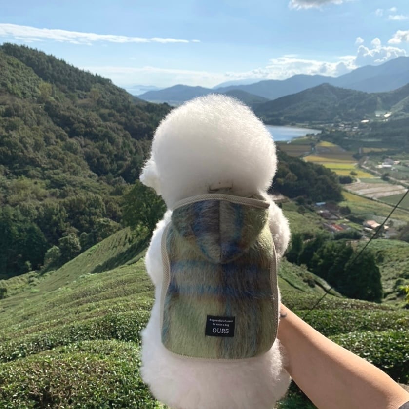 ours,】当店限定ブランド | ropet