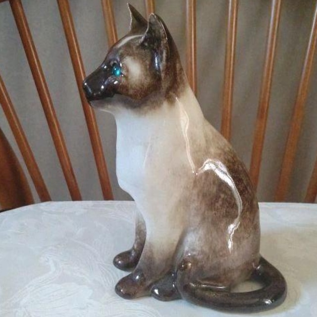 ウィンスタンレイキャット ケンジントンキャット 寒色系シャム猫 ウィンスタンレイキャット ケンジントンキャット 寒色系シャム猫