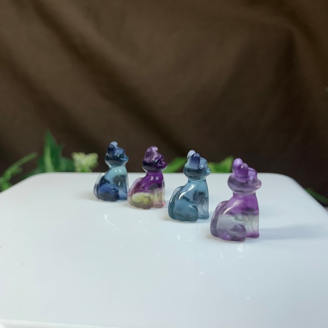 フローライトねこちゃんの集い場・フローライト