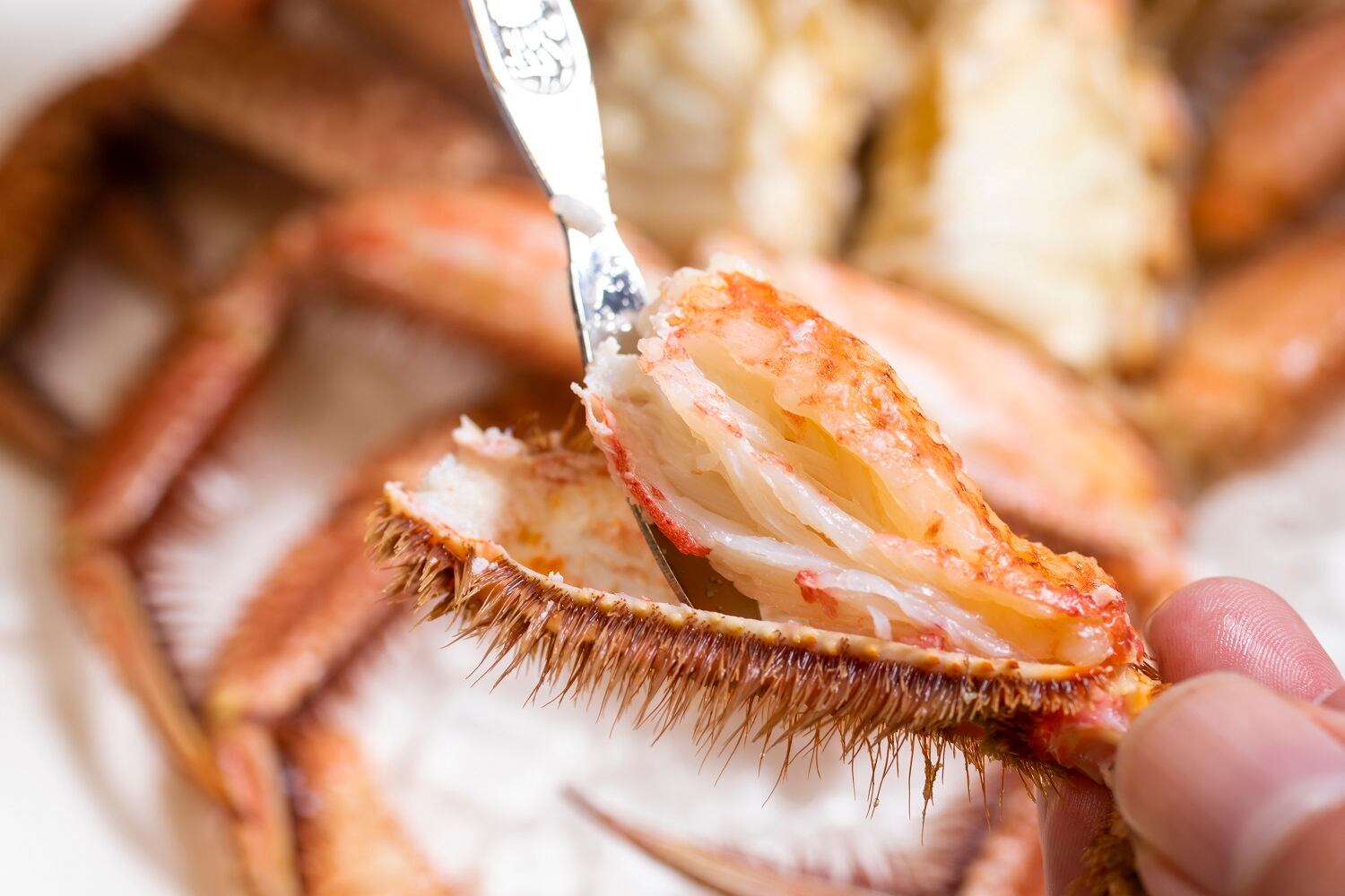 山口水産 匠の極上仕上げ 1尾300グラム前後 【ボイル・冷凍・個数色々選択できます】