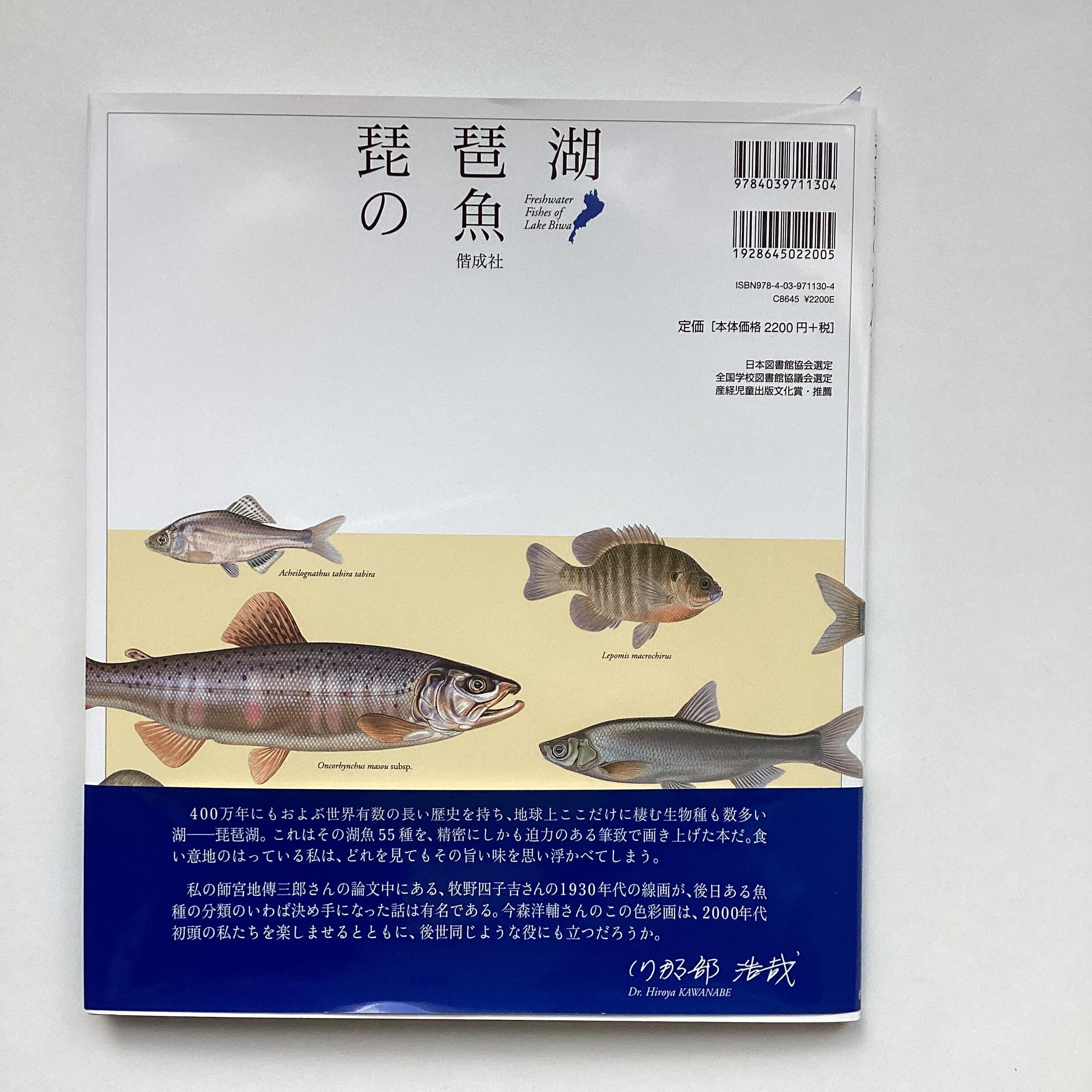 e41e5b3a7ac9cd820dad0061964f63