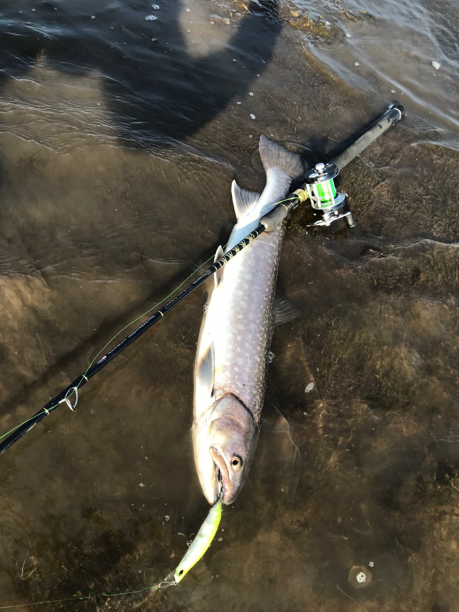 Dr.Boron 87XXH Vapour Trail Baitcast 87XXH | saurusjunior