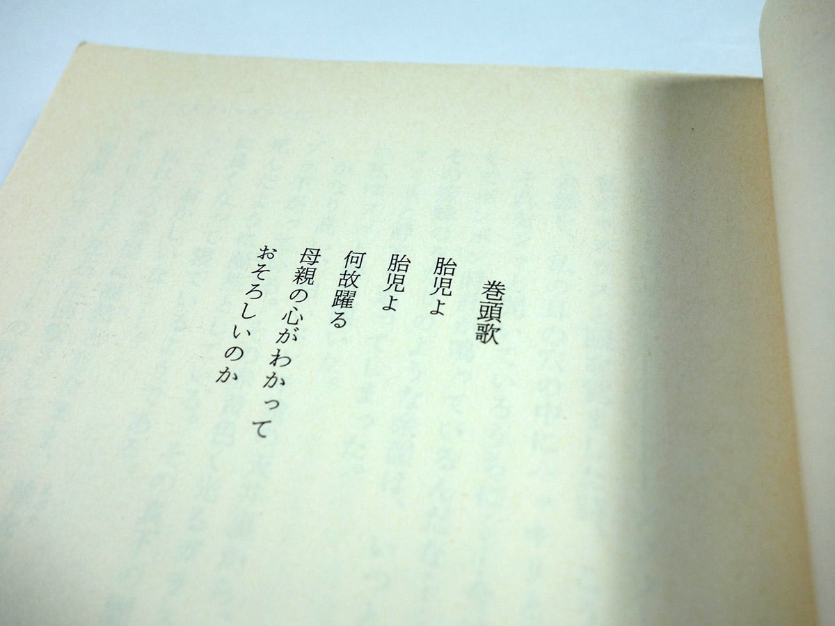 ドグラ・マグラ【上・下 2冊セット】（夢野久作 著、米倉斉加年 カバー