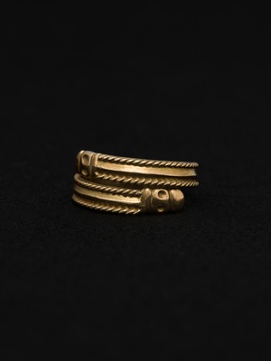 Snake Bypass Ring
