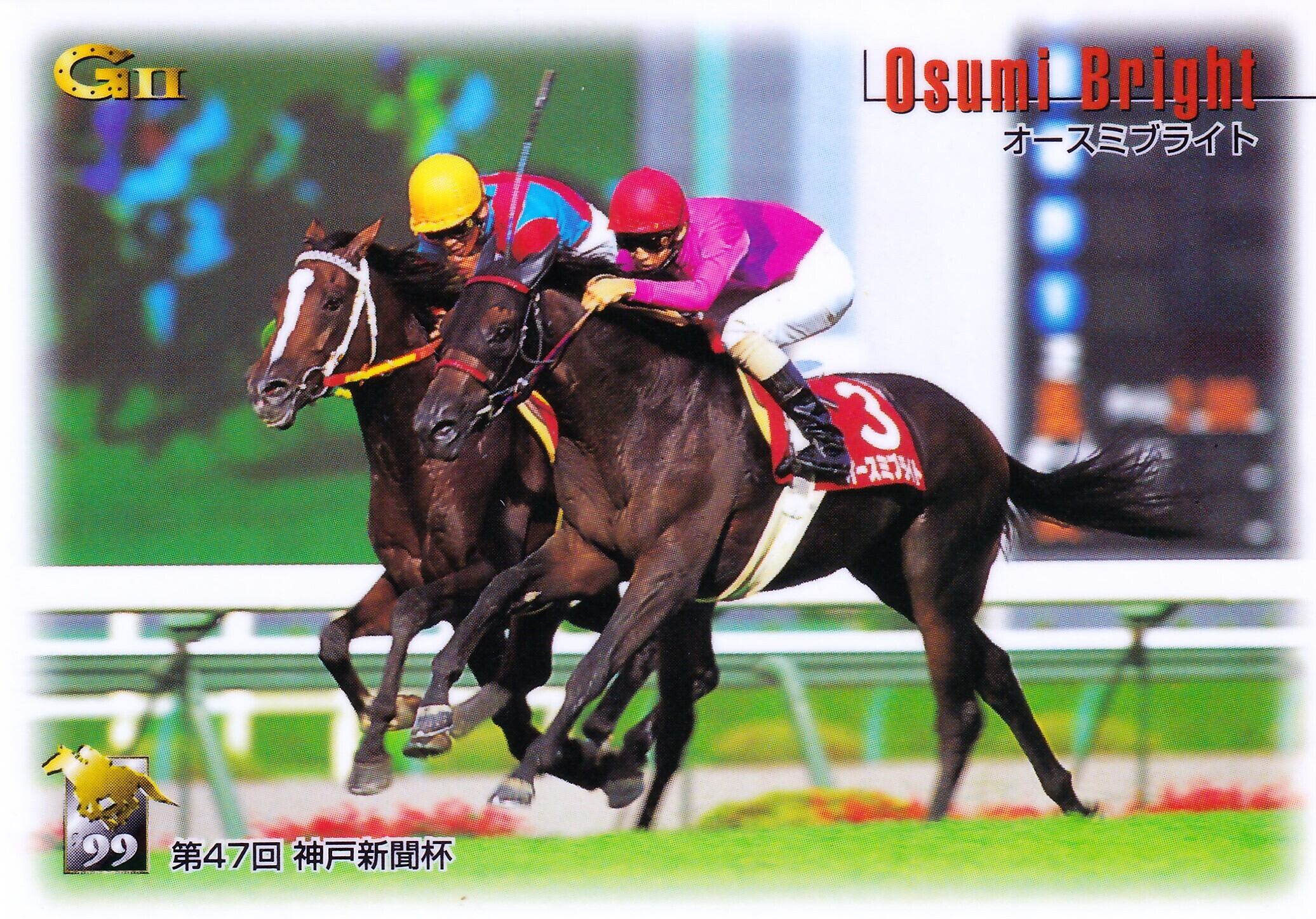 ステージチャンプ：第29回 ステイヤーズステークス「サラブレッド