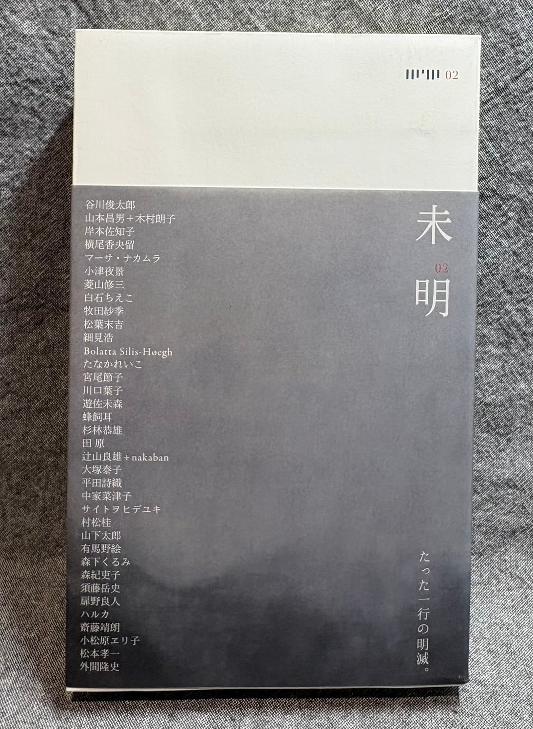 阿部昭 集 1 ～ 14巻 セット 揃い | あまかわ文庫
