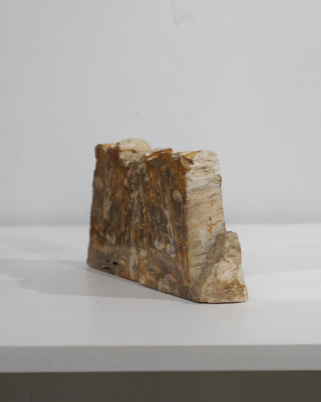 OAK Petrified Wood - Book End #007 ：Natural｜珪化木／一点もの／静かな重み