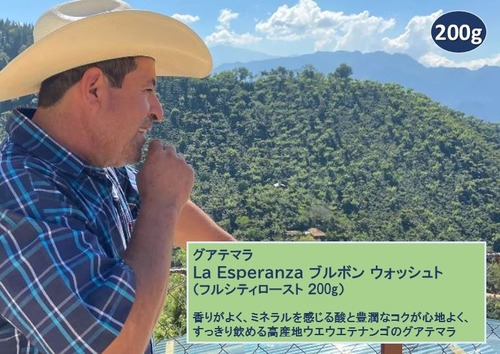 グァテマラ・La Esperanza・ウォッシュト（フルシティロースト 200ｇ）