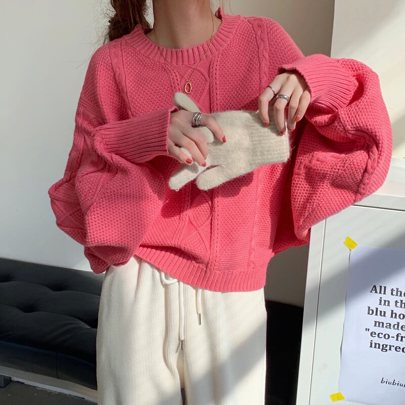 セーター レディースルーズスタンダードニットスプリングプルオーバー トップス ピンク レトロ 春物 ブラックストロベリース84087217751