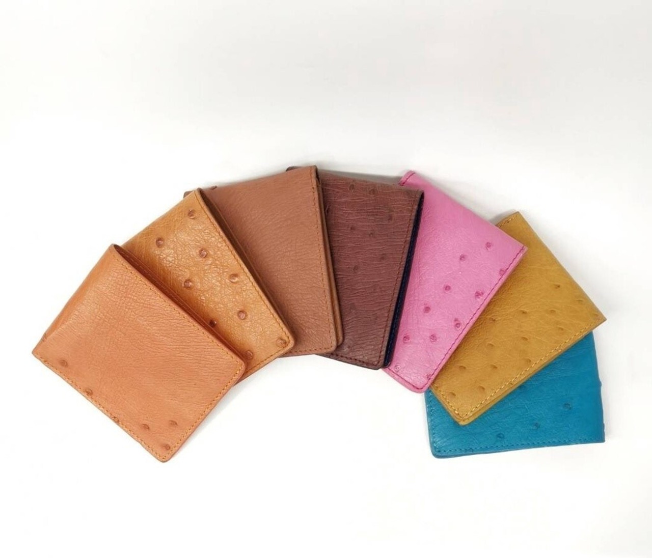 ダチョウ革 二つ折り財布　